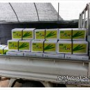 도경농장 이미지