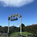 제주도 ‘반하크라펜션’ 4박 5일 숙박 후기