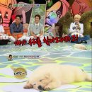 개스트