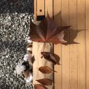 다대주유소 이미지