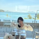 스테이가인 | 인생 숙소 추천하러 왔습니다. 남해 감성 숙소 추천, 스테이가인 숙박 후기🫧