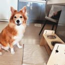 (주)케이소프트 이미지