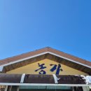 순담식당 | 포천철원여행 주상절리 순담매표소 근처 맛집 농가 온가족이 만족한 재방문 의사 100프로 두부전골
