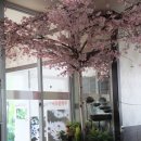 손가네칼국수 이미지