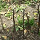 창민2농장 이미지