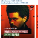 안경나라 평화본점 | [일상] 노잼이더라도 행복하자 아프지말고_5월의 절반💊