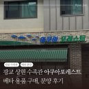 용궁꽃수족관 | 수원 광교 수족관 아쿠아포레스트 - 베타 입양 후기, 베타 용품 준비물