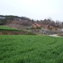 4월의밀밭 이미지