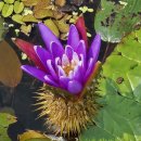 바우길 11구간 이미지