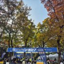 재호분식 | 불꽃야구 시즌2를 기다리며! 불꽃야구 마지막 경기 직관 후기