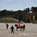 라온더마파크 이미지