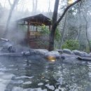 "일본 온천여행 취소해야 하나"…치사율 20% '이 균' 나왔다는데 이미지