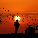 이상은행정사사무소 이미지