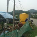 형근농장 이미지