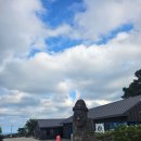 일랑일랑 애견캠핑 인제주 이미지