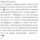 팀위너 복싱핏 이미지