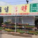 대일농원