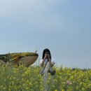 고인돌김밥 이미지