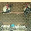 비탈길굽이돌아 이미지