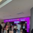 주식회사 홍운국제 | 2025 서울국제주류&와인박람회 마곡 - 마곡 주류박람회 후기