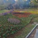 호수공원, 중앙공원 이미지