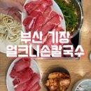 얼크니손칼국수 | [부산기장 맛집] 얼크니손칼국수 내돈내산 솔직후기