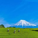 일본에 갔다면 꼭 보고 와야 할 자연경관 BEST 5 이미지