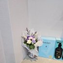 예인미가 이미지