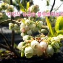 김금순농장 이미지