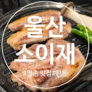 소이재 - 118817 | 울산 명촌 맛집 소이재, 한돈 2인 세트 먹고 온 후기 🐷