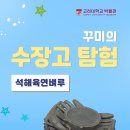 [고려대학교 박물관] 꾸미의 수장고 탐험- <석해육연벼루>