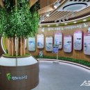 평화누리길 이미지