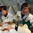 소풍동물병원 이미지