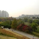 토성농장 이미지