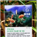 백초당한약방