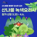 경기도 양평군 사랑나무어린이집 | (양평/행사)2026 양평 용문산 산나물축제 후기｜4월 봄나들이 추천, 아이와 자연체험 완벽코스