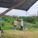 김미옥 농장 이미지