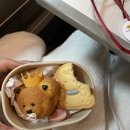 댕이랜드 | [도쿄 크리스마스 여행기 1]도쿄 디즈니씨 후기 꿀팁 / 시부야 스카이🎄🤍✨