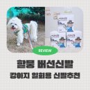 신발신은 강아지 | 신고벗고산책하기도 편한 강아지 일회용신발 할뭉 버선신발