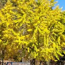 가야진사공원 파크골프장 이미지