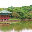 비비추공원 이미지