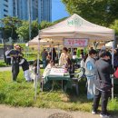 매호천 어울림마당 이미지