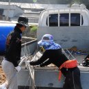 형래농장 이미지