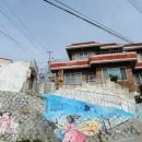 산양일주도로가로수 이미지