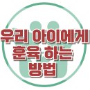 [우리 아이에게 훈육 하는 방법] 한국아동청소년심리상담센터 이미지