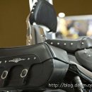 MOTOR KING 이미지