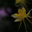 문필봉민박 이미지