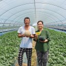 미라농장 이미지