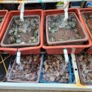 대박수산 이미지