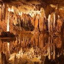 칼즈배드 이미지